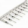 Terminal Dupont Macho Pitch 2.54mm