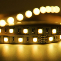 Tiras De Leds 5050 IP65 (Blanco Frío, Blanco Cálido, Rojo, Rosa, Amarillo, Verde, Azul)