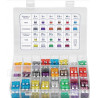 Kit de Fusibles Automotrices