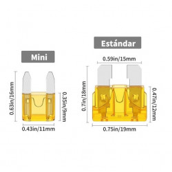 Kit de 1000 piezas de Fusibles Automotrices