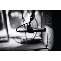 Micrófono profesional de Metal dinámico SM57LC para instrumentos  (incluye cable, clip y estuche)