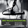 Micrófono profesional de Metal dinámico SM57LC para instrumentos  (incluye cable, clip y estuche)