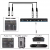 Micrófonos Inalámbricos XTUGA UT120 Uhf 2 Canales 2 micrófonos 535-594Mhz (INCLUYE MALETIN DE TRASNPORTACIóN )