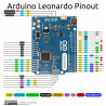 Placa de Desarrollo Experimental Leonardo R3 Genérico Con Su Cable Micro USB
