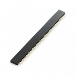Tira De Pines Hembra 1x40