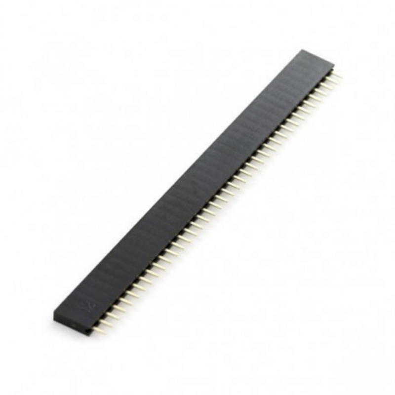 Tira De Pines Hembra 1x40