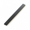 Tira De Pines Hembra 1x40