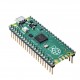 Raspberry Pi Pico Rp2040 con cable